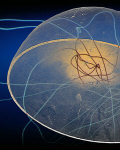 Etre Terre - Installation OFNI#23