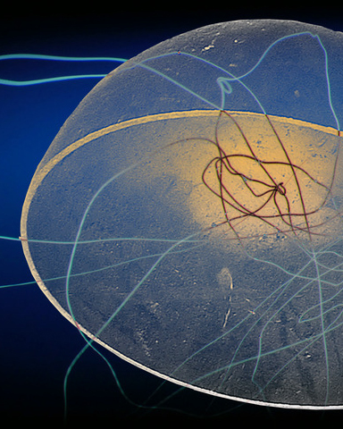 Etre Terre - Installation OFNI#23